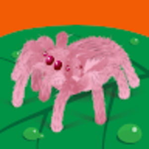 Meet your Posher, Kenna